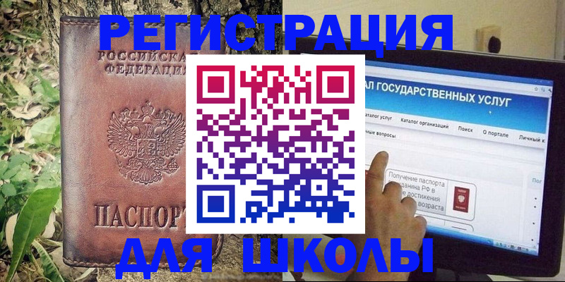 прописка для школы в Елизово